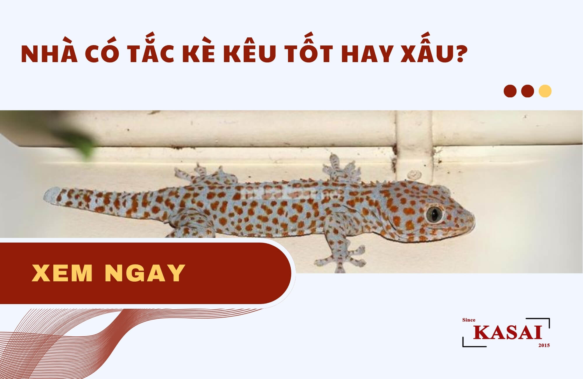 Nhà có tắc kè kêu tốt hay xấu?