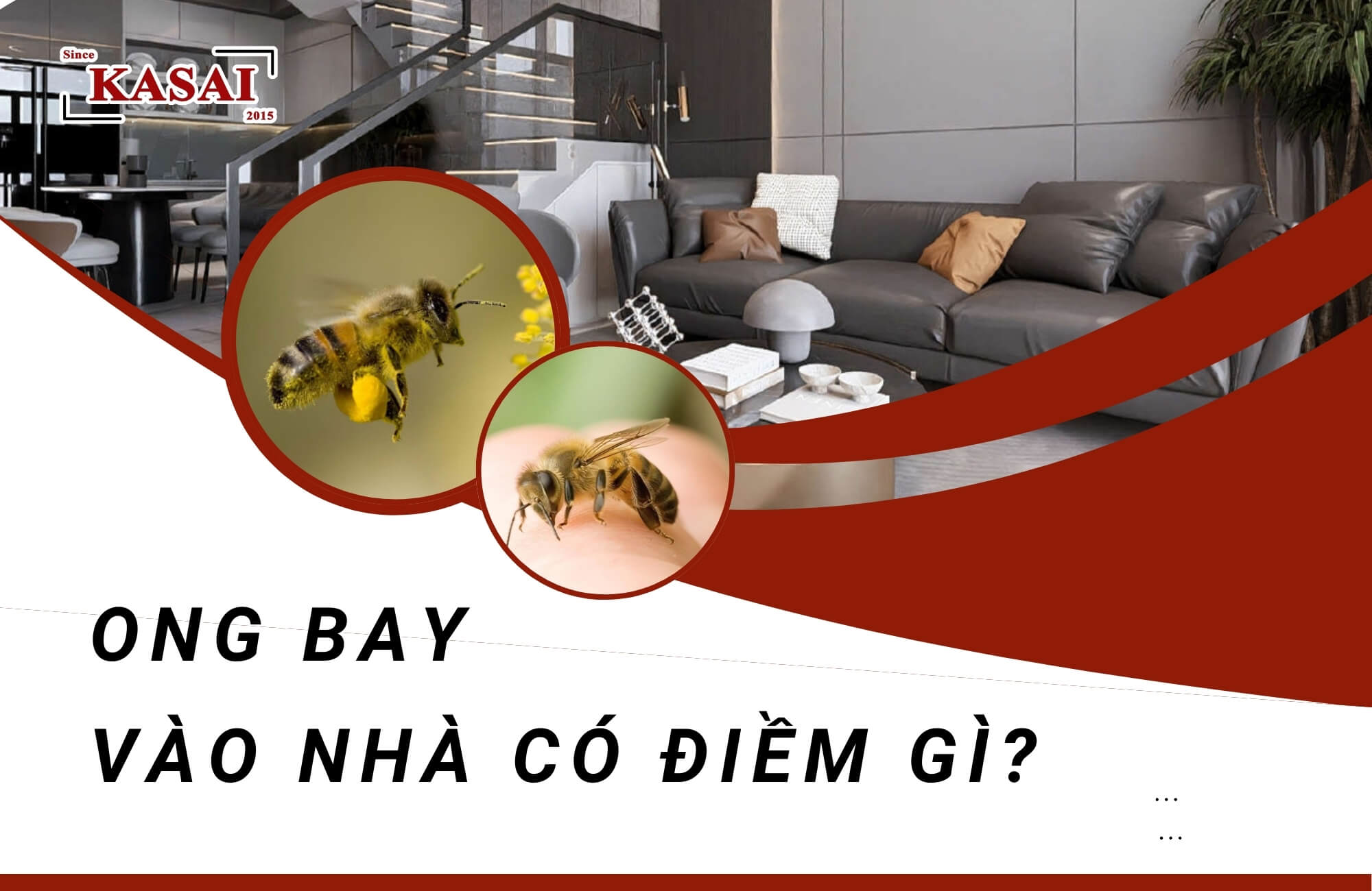 Ong bay vào nhà có điềm gì?