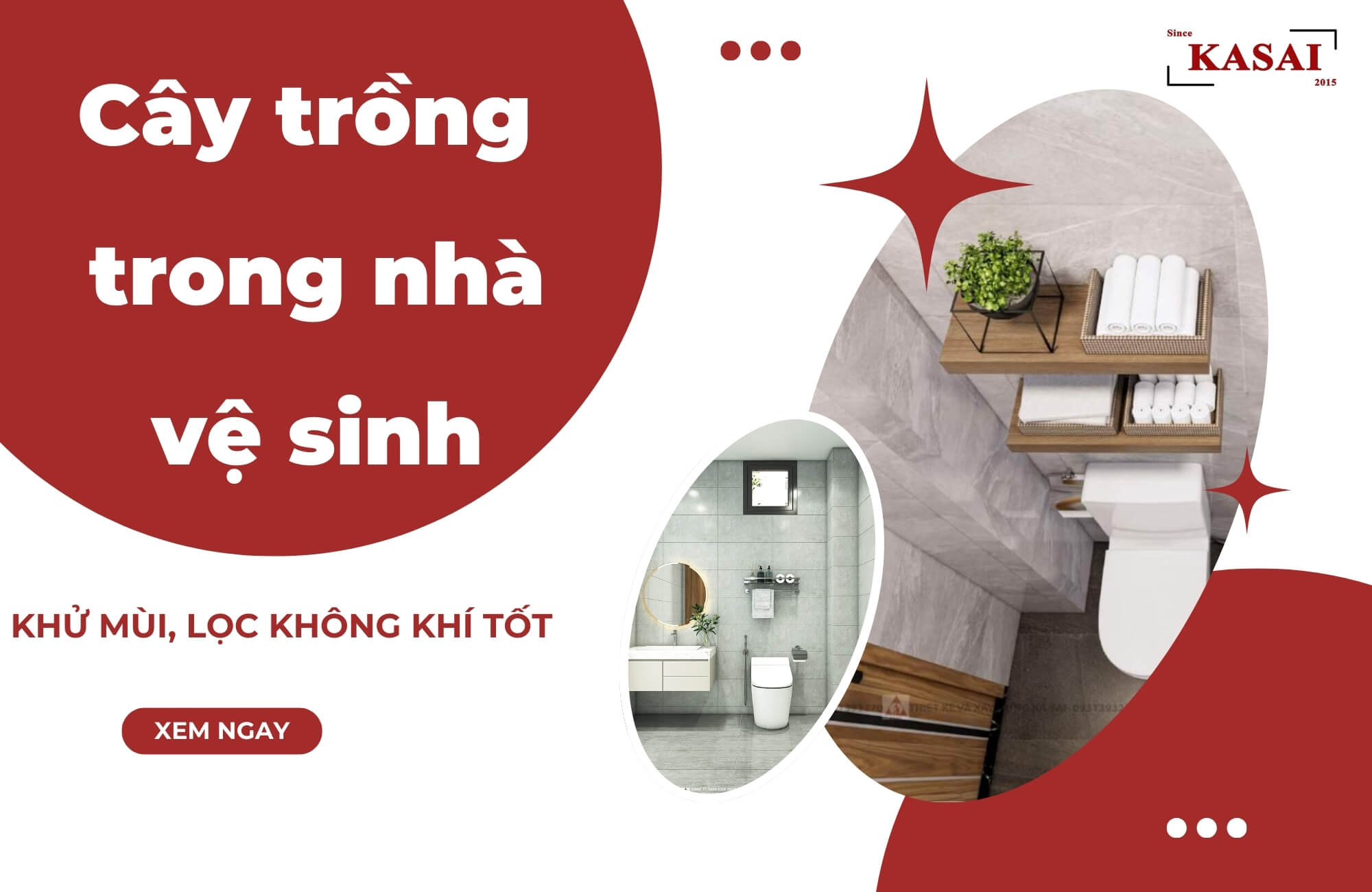 Cây trong nhà vệ sinh để khử mùi