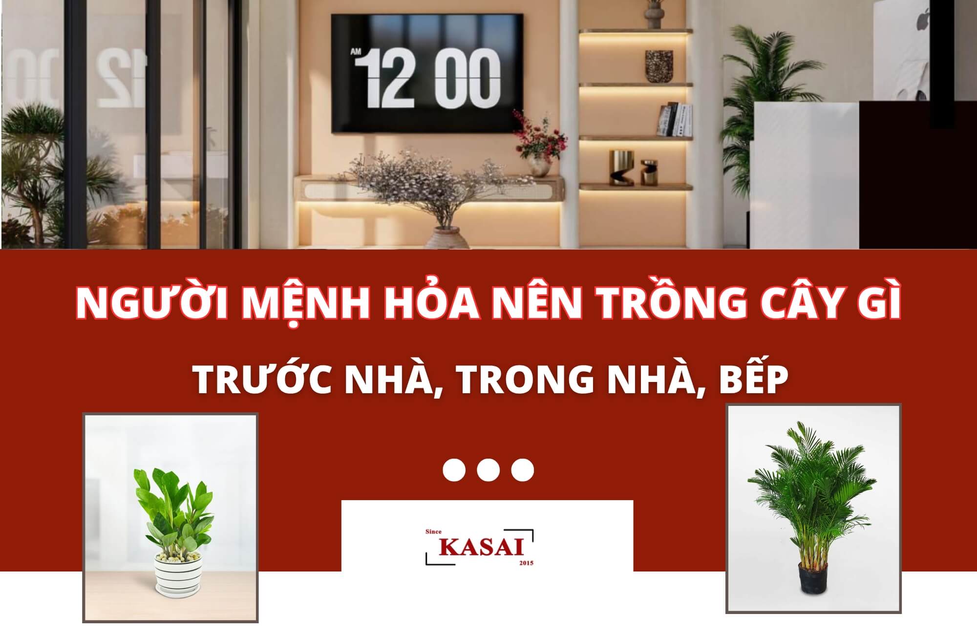 Người mệnh Hỏa nên trồng cây gì trước nhà
