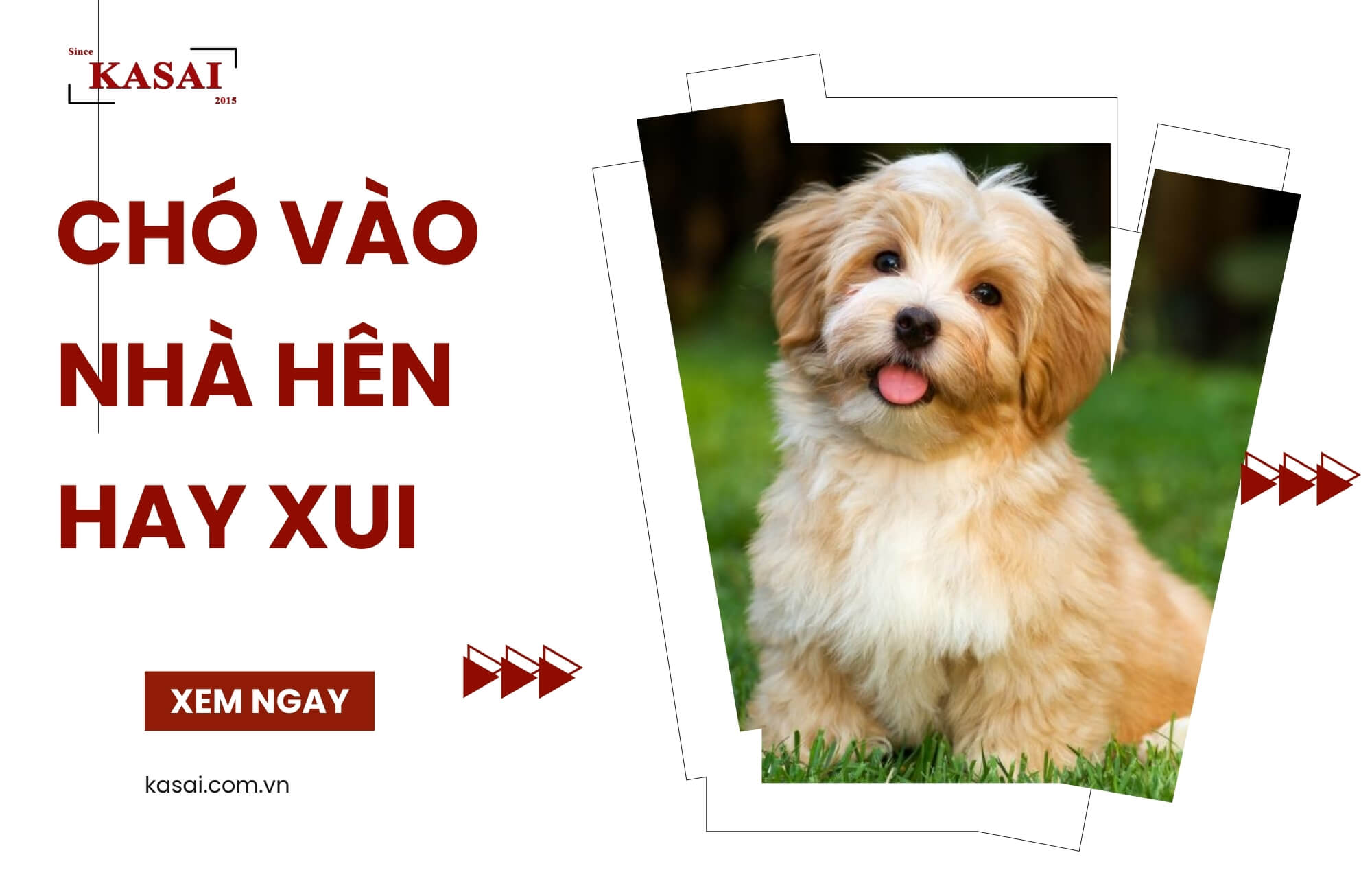 Có vào nhà hên hay xui?