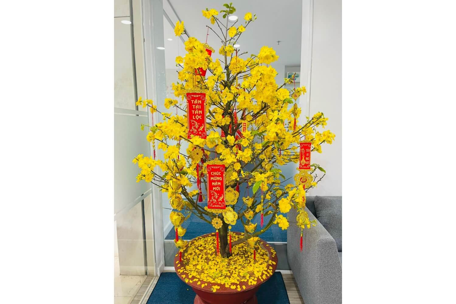 Decor Tết phòng khách đẹp